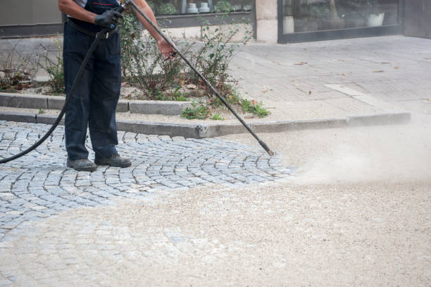 Best Spring Cleaning  in Momence, IL